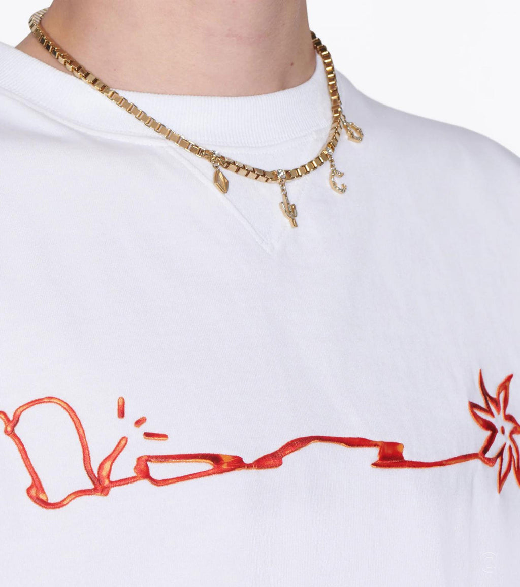 Cactus T-shirt + 1 color