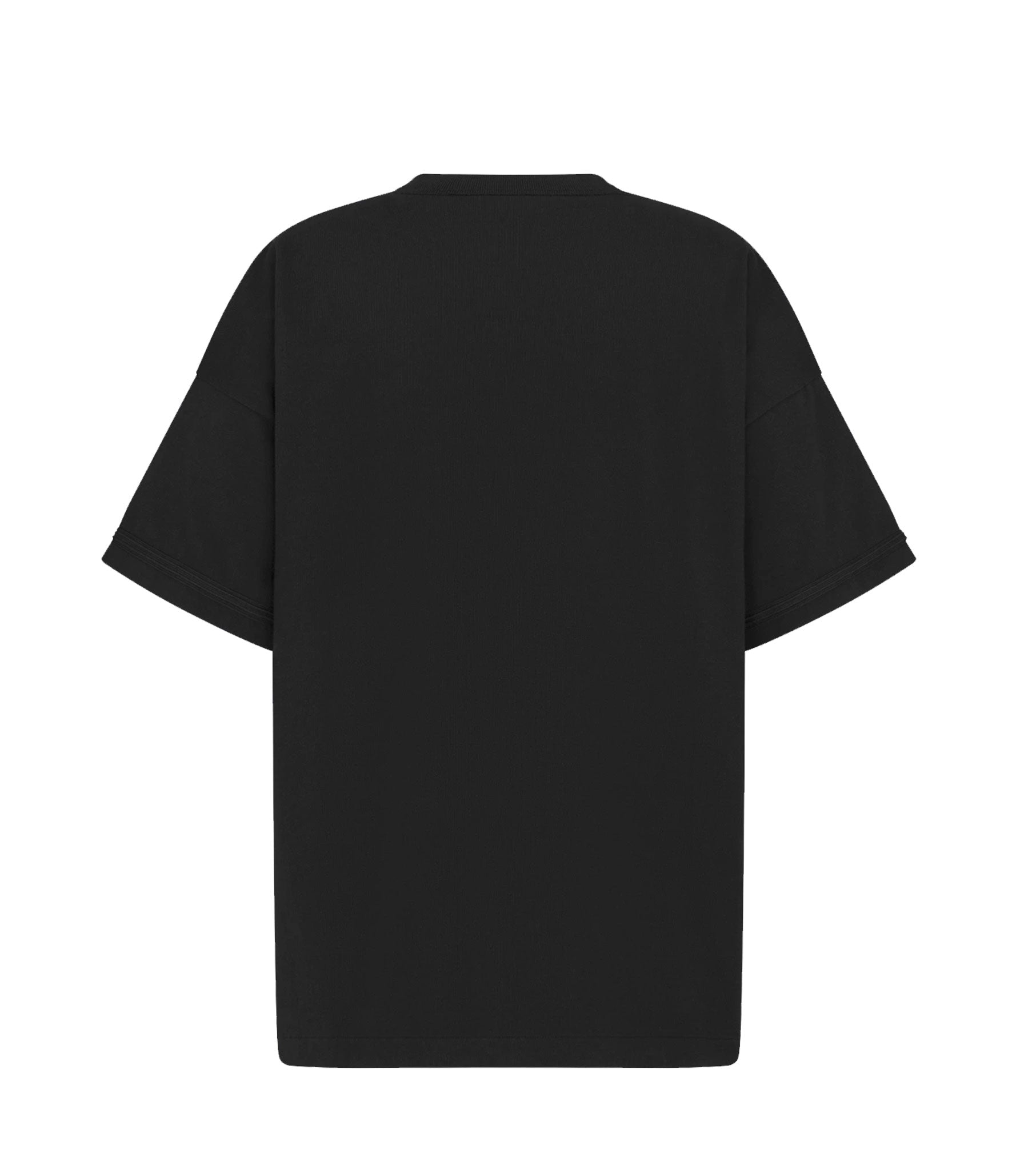 Embroidered T-Shirt + 1 Color S24-DR33