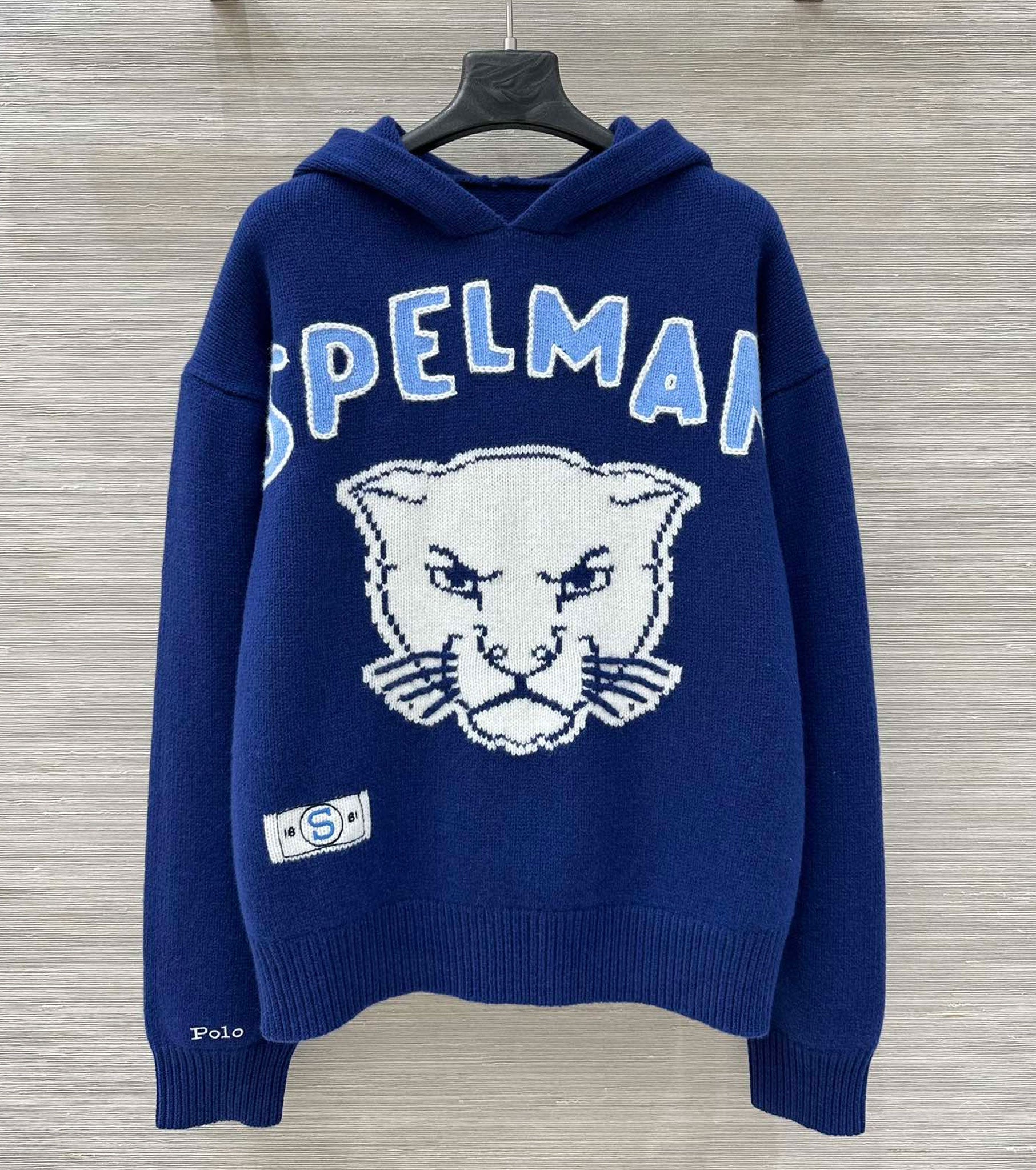 Women Wool Hooded Sweater Oversized